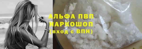 стаф Абаза
