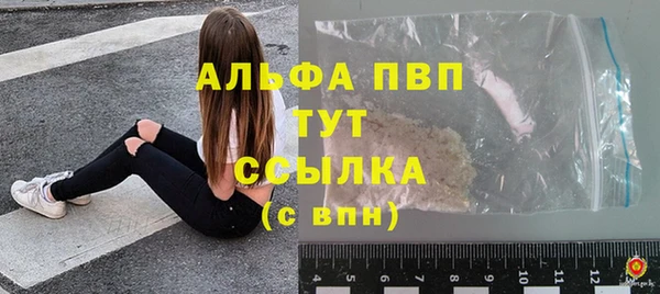 стаф Алексин