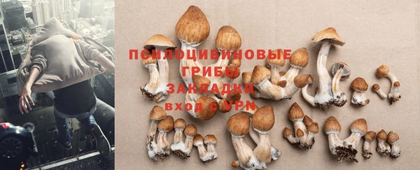 стаф Абаза