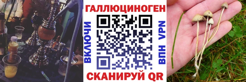даркнет сайт  Саянск  Псилоцибиновые грибы Psilocybine cubensis 
